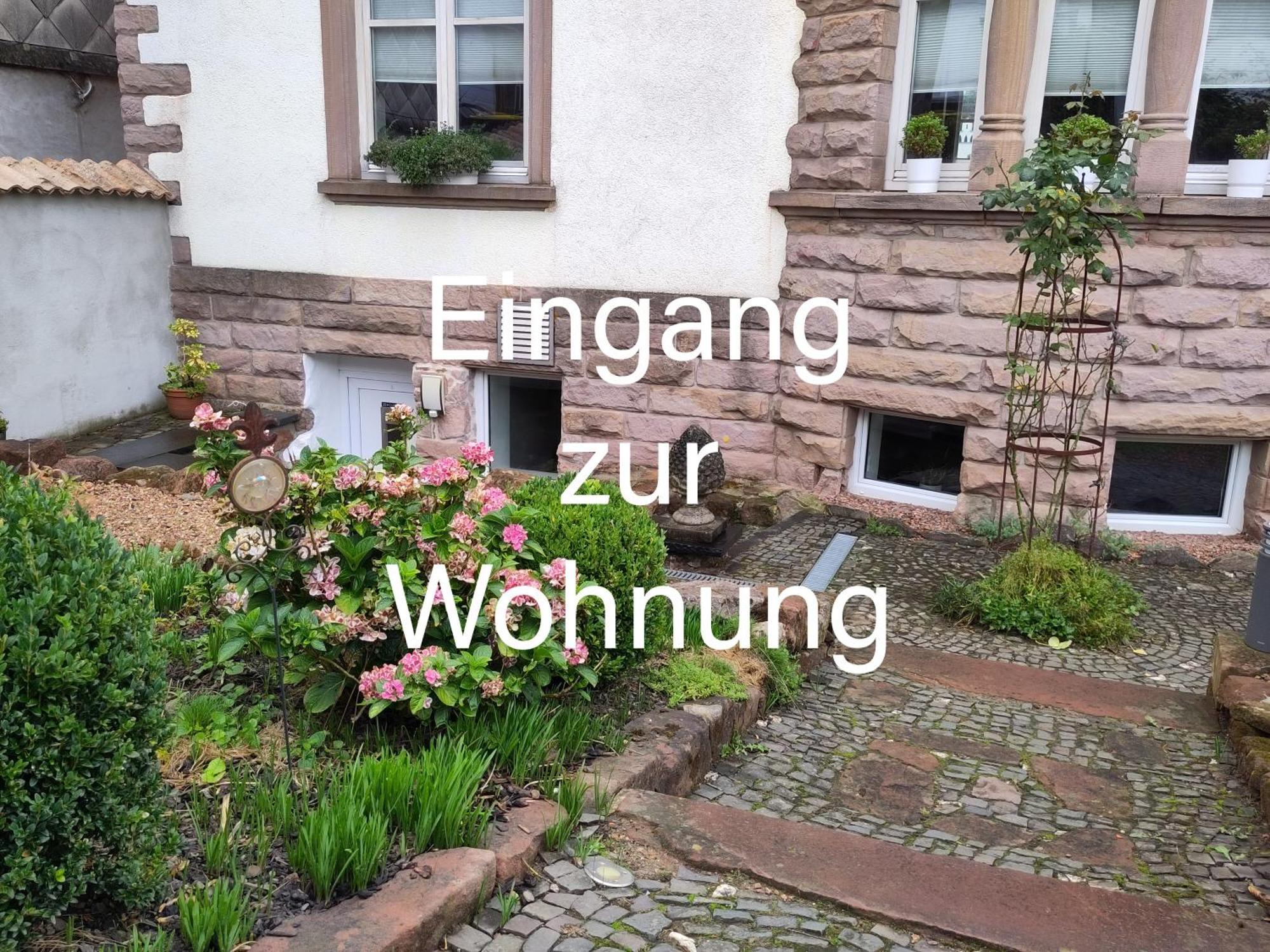 Casa Viva - Separate, Ruhig Gelegene Wohnung Quierschied Exterior foto